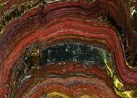 Polished Tiger Iron Stromatolite - ( Billion Years) #65322-1